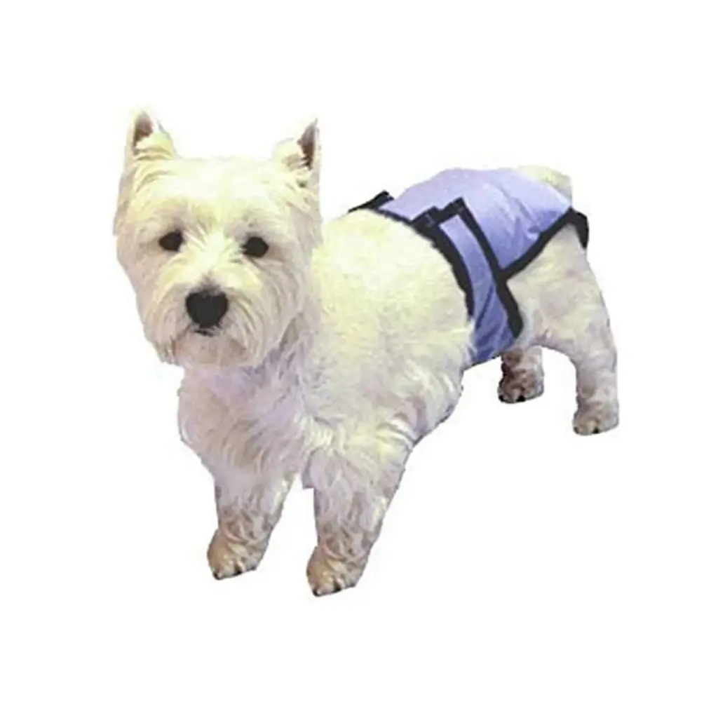 [794219190255] Pooch Pad Pooch Pants Reusable Diaper Large Grand (20"-27")