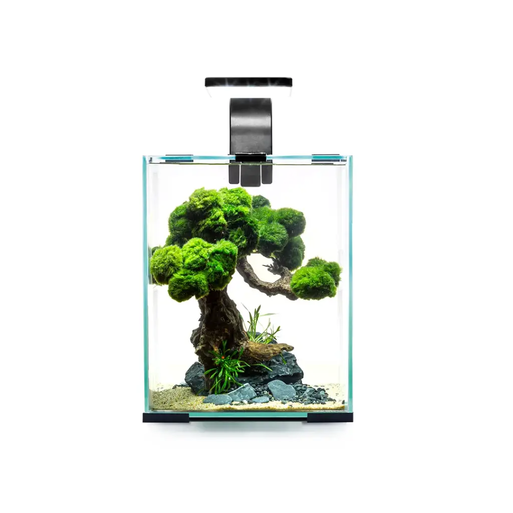 Aquael Shrimp Set Smart Black Day & Night Nano Aquarium - 10L