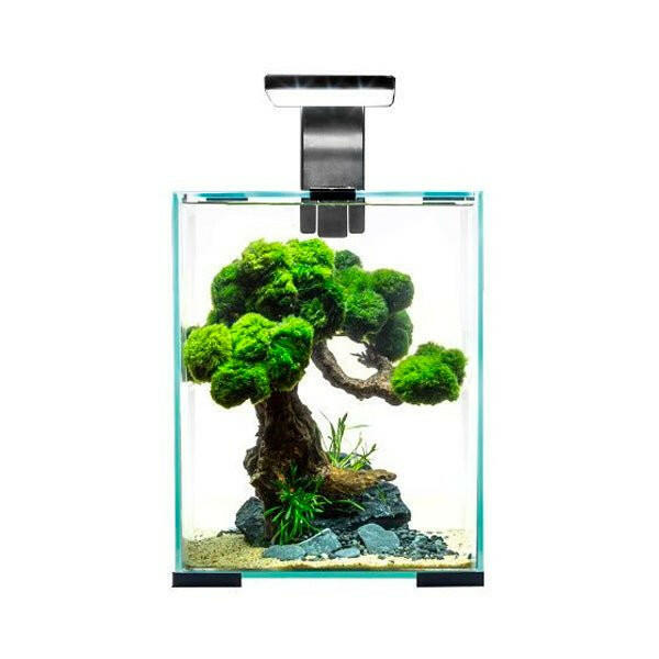 [AQ123264] Aquael Shrimp Set Smart Black Day & Night Nano Aquarium - 30L