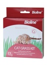 Bioline Cat Grass Kit, 12g, Digestive Aid