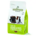  Padovan Wellness Guinea Pigs 1Kg
