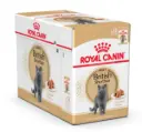Royal Canin FBN British Shorthair FBN Breed Specific Wet Cat Food Pouch 12x85g
