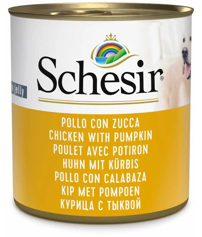 Schesir Chicken With Pumpkin Wet Food Can 285g
