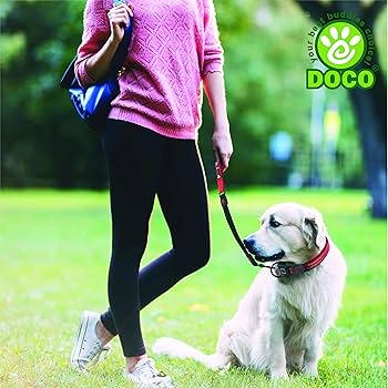 [DCB1122-02XL] DOCO 22 Shock Absorbing Bungee Dog Leash Blue - XL