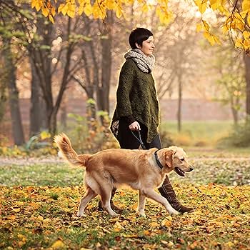 DOCO Double DD-Ring Durable Nylon Dog Collar Red - L