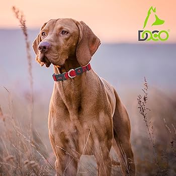 Doco Signature Durable Nylon Dog Collar Black - L