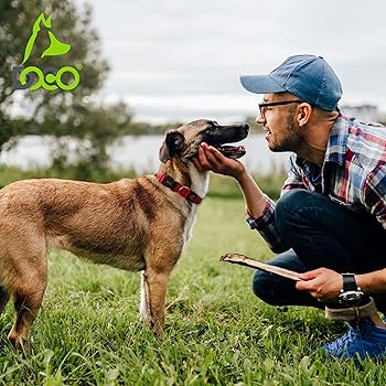 [DCSN002-03L] DOCO Signature Durable Nylon Dog Collar Red - L
