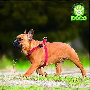 [DCSN202-02XL] Doco Signature Step-In Nylon Dog Harness Blue - XL