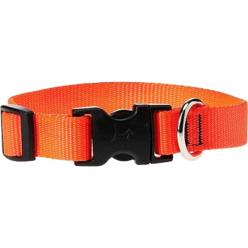 [DCV2072-08S] DOCO Vario Easy Snap Bungee Dog Leash Orange - 6ft - S