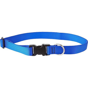 [DCV006-15S] DOCO Vario Reflective Stitching O-Ring Dog Collar Blue - S