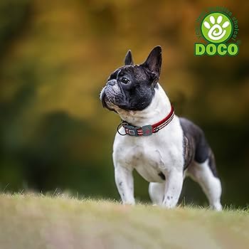 [DCV006-03L] DOCO Vario Reflective Stitching O-Ring Dog Collar Red - L