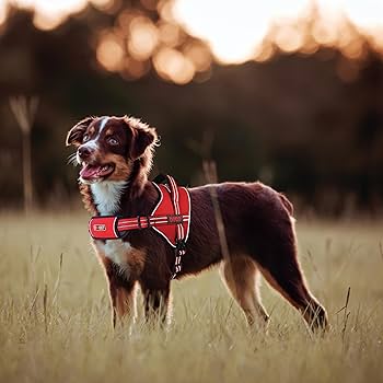 [DVX1-03L] Doco Vertex Power Comfort Dog Harness Red - L
