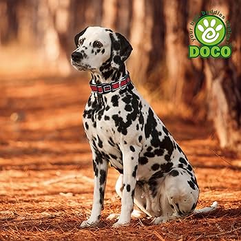 [DCA002-02M] Doco Athletica Air Lightweight Dog Collar Blue - M