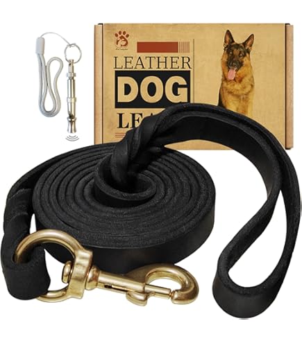 [DCS2072-01S] DOCO Easy-Snap Hands-Free Dog Leash Black - 6ft - S