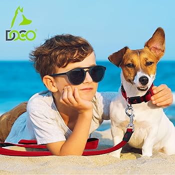 DOCO Jelly Bean Soft Nylon Dog Leash Blue - 6ft - S