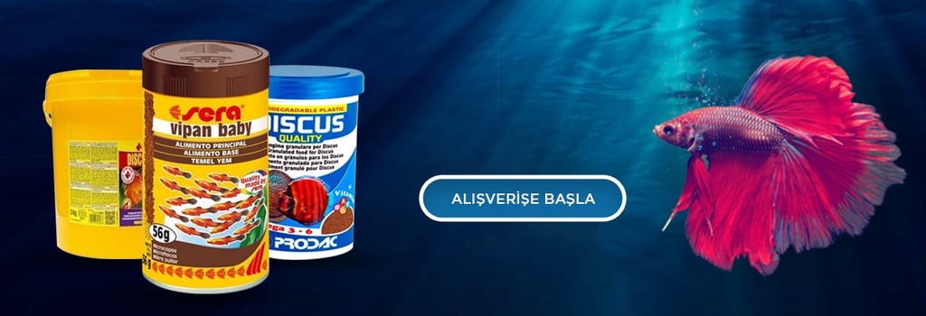 DOCO Loco Lime Street Pattern Dog Leash - 4ft - M