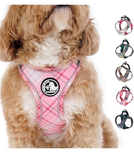 [DCSN201-05S] Doco Signature H-Harness Durable Nylon Dog Harness Grey - Small