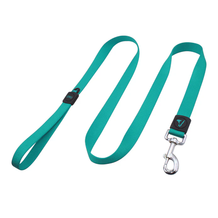 [DCSN1048-11XS] Doco Signature Durable Nylon Dog Leash Turquoise - 4ft - XS