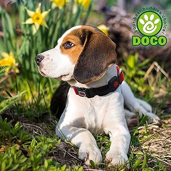 [DCSN011-03S] Doco The Quiet Noise-Reducing Dog Collar Red - Small