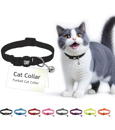 [DCAT001-S8XS] DOCO Signature Safety Orange Cat Collar - XS