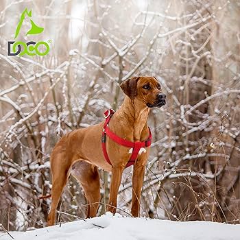 [DCA201-S8M] Doco Puffy Air Step-In Dog Harness Safety Orange - Medium