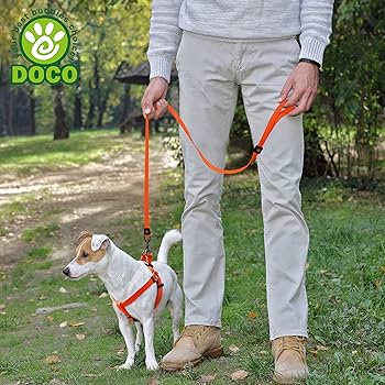 [DCSN1048-02L] Doco Signature 4ft Blue Durable Nylon Dog Leash - Large