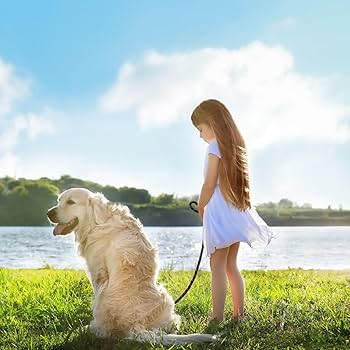 DOCO 5ft Reflective Rope Dog Leash with Click & Lock Red - Small