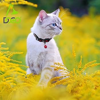 [DCAT011-03] DOCO Reflective Safety Cat Collar Red - 1 Unit