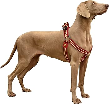 [DCA393-03M] Doco Solar Mesh Step-In Dog Harness Red - Medium