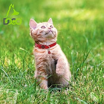 [DCAT001-S7XS] Doco Signature Lemon Adjustable Nylon Cat Collar - XS