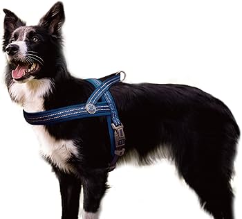 [DCV201-15L] Doco Vario Neoprene Reflective Blue Dog Harness - Large