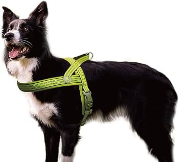 [DCV201-S7XL] DOCO Vario Neoprene Reflective Dog Harness Green - XL