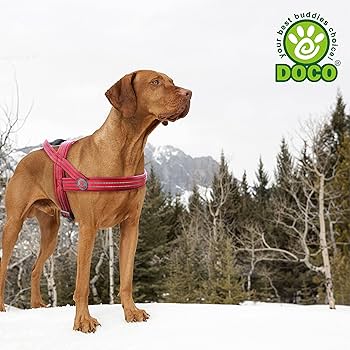 [DCV201-05L] Doco Vario Neoprene Reflective Dog Harness Grey - Large