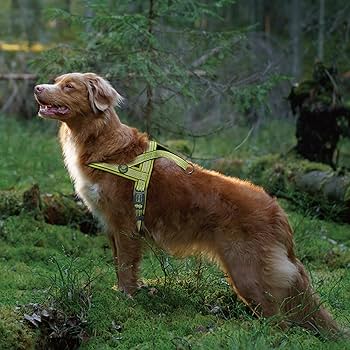 [DCV201-S8S] Doco Vario Neoprene Reflective Dog Harness Orange - Small