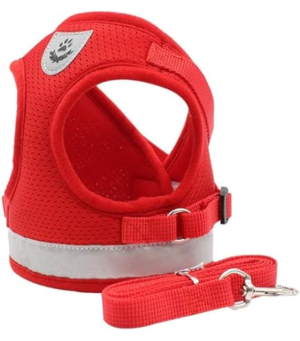 [DCL202-ATS] DOCO Loco Green Monster Step-In Dog Harness - Small