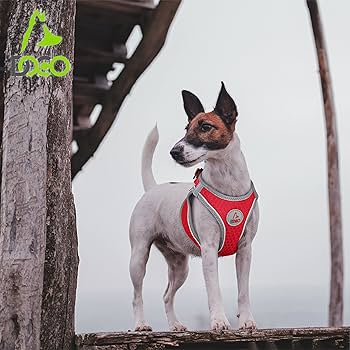 [DCA308-03S] Doco Athletica Quick-V Red Breathable Mesh Dog Harness - Small