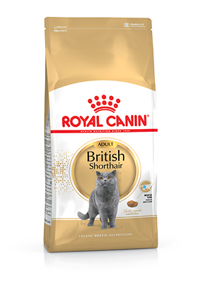 Royal Canin Feline Breed Nutrition British Shorthair British Shorthair Adult Dry Cat Food XXX (400 g)