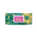 NurtureProAG+SilverPetWetWipes-BabyPowder(100Sheets/Pack)