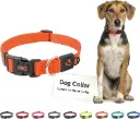 DOCO Signature Nylon Collar (DCSN002)[Size - XL, Color - Safety Orange]