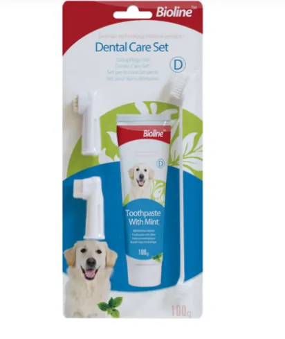 Bioline Dental Care Set- 100g, Flavor - Mint
