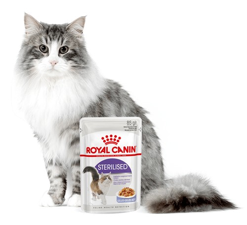 Royal Canin Feline Health Nutrition Sterilised Jelly Weight & Urinary Support Wet Cat Food Pouch 12x85g