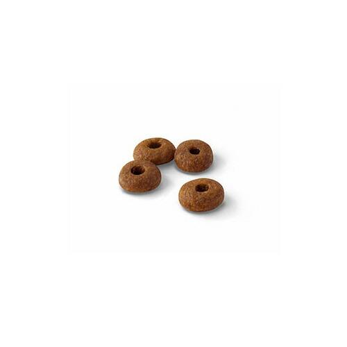 [RO228190 ]  Feline Health Nutrition Fit 32 - 10 KG  