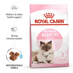 [RO306480 ] Royal Canin Feline Health Nutrition Mother and Babycat 2 KG - Dry Cat Food