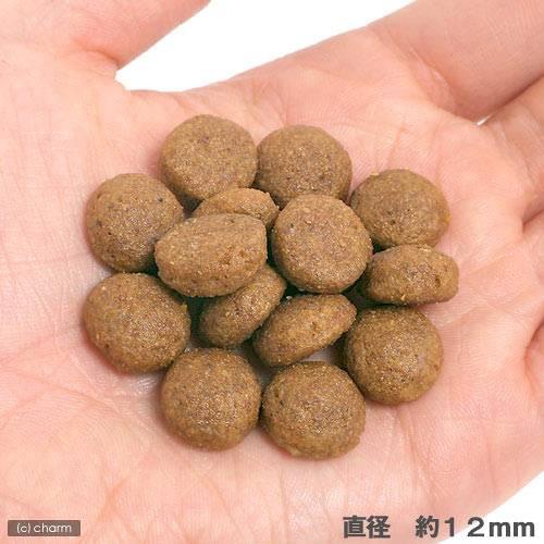 [RO307290 ]  Size Health Nutrition Maxi Puppy 10 KG  