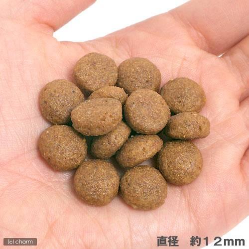 [RO307300 ]  Size Health Nutrition Maxi Puppy 15 KG  