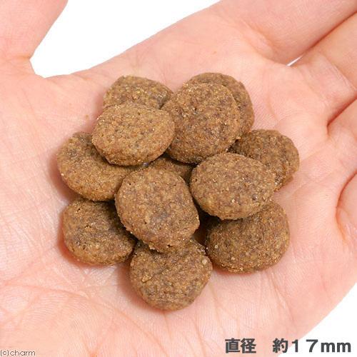 [RO250780 ]  Size Health Nutrition Medium Adult 7+ 10 KG  