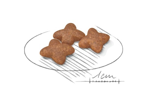 [RO250880 ]  Size Health Nutrition Mini Adult 800 g  