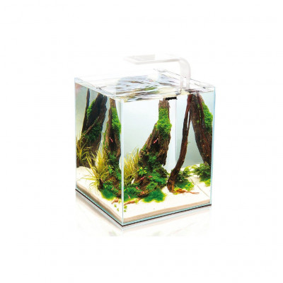 [AQ123262] Aquael Shrimp Set Smart Black-Day & NightVolume: 20L 