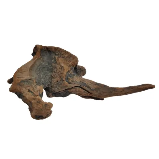 [AL-SKWD] Aqualife Natural Sunken Wood Driftwood Aquarium Decor - Per Kg