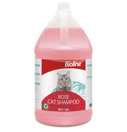 [6970117126907] Bioline Rose Cat Shampoo 3.8L